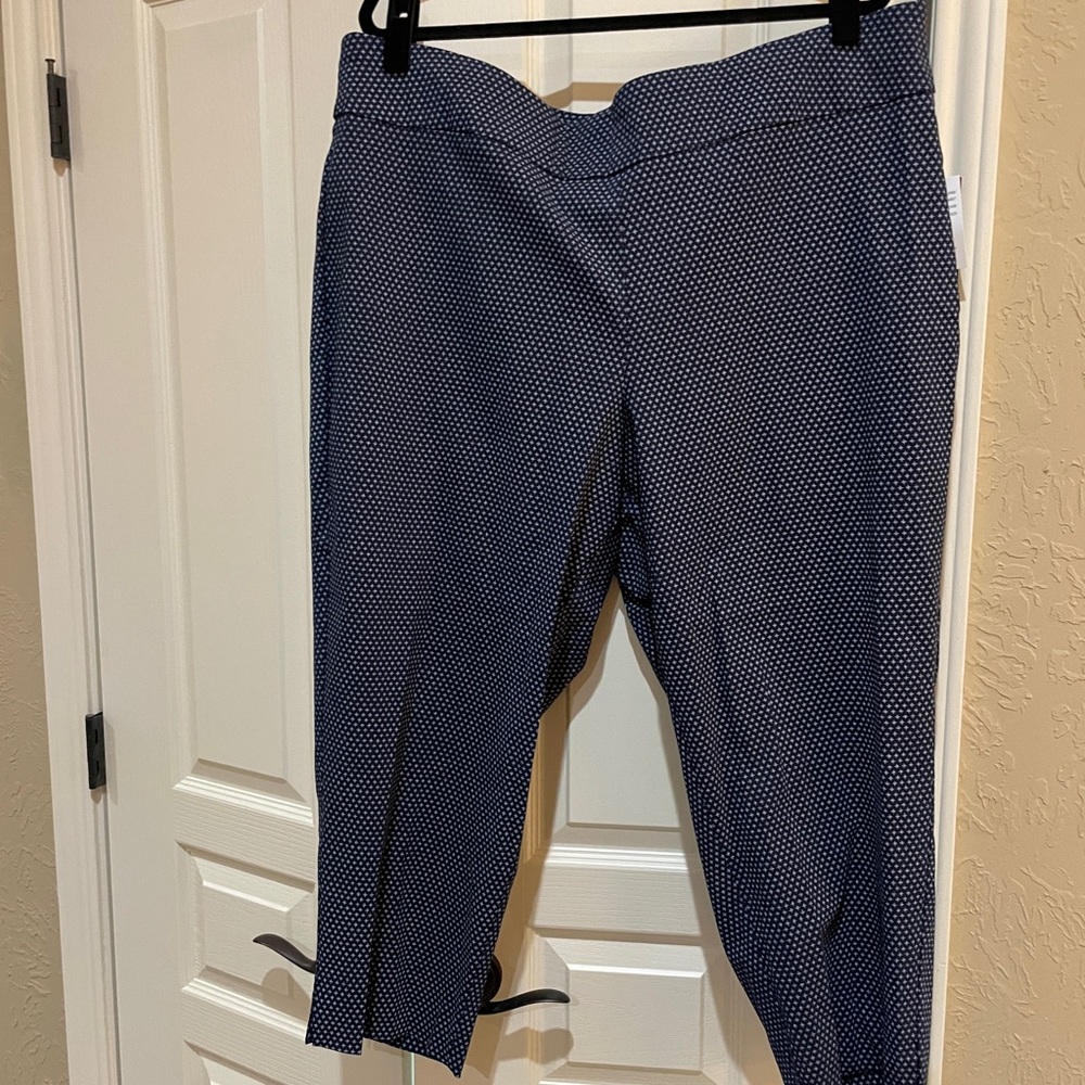 Ryan Wythe navy blue cropped pants size 24W tags still on!